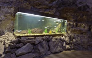 trasloco acquario